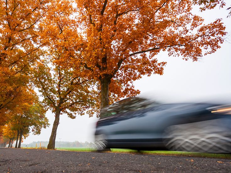 © A_Bruno / Fotolia