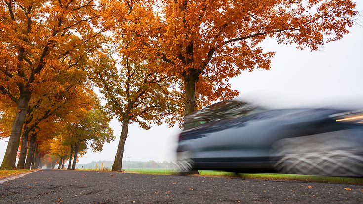 © A_Bruno / Fotolia