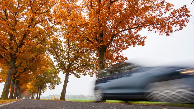 © A_Bruno / Fotolia